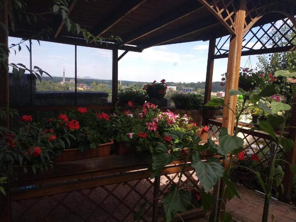Apartmany Zatec Exteriér fotografie